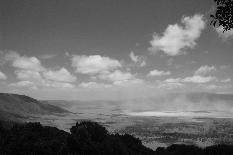 seking-adventure-on-african-safari