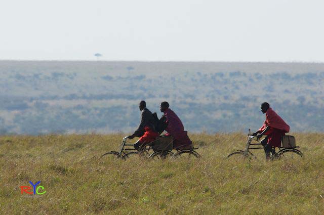 think different wildlife photography courses masai mara
