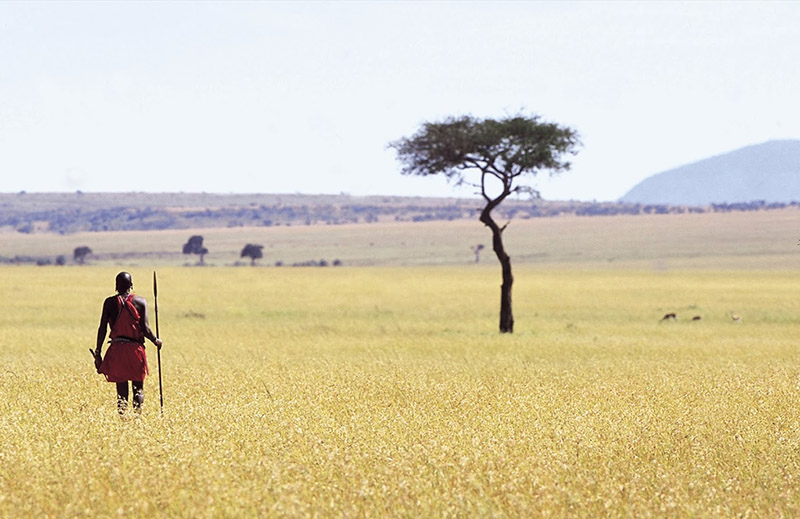 top-kenya-african-safari-tour-signature-kenya