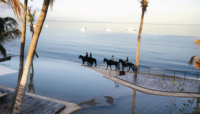 want-african-safari-beach-extension