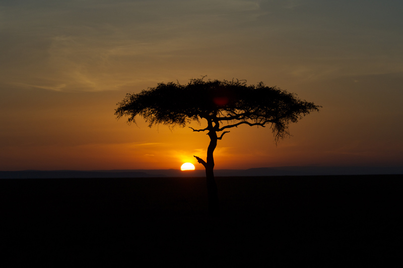 want-to-book-african-safari-online