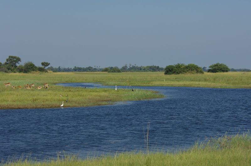what-you-should-know-about-green-season-in-botswana