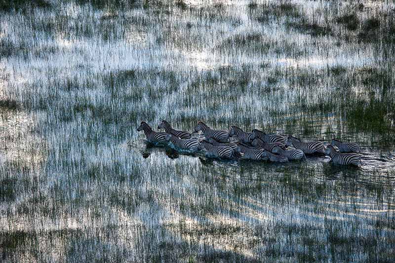why-you-should-know-about-the-flood-in-the-okavango-delta