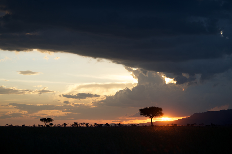 wildebeest-migration-northern-serengeti