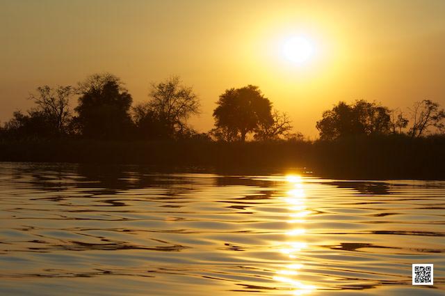 wildlife photography courses Kenya Tanzania south Africa Botswana aspiration