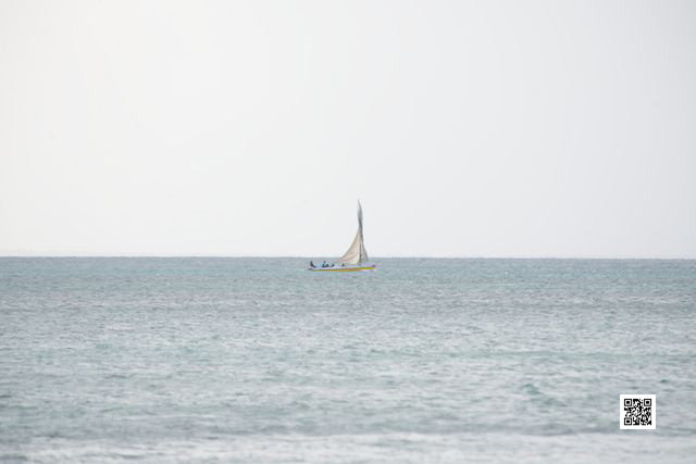 wildlife photography courses Kenya Tanzania south Africa Botswana beach volleyball