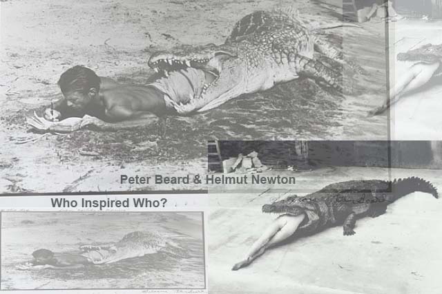 <br />wildlife photography courses Kenya Tanzania south Africa Botswana<br /><br />wildlife photography courses Kenya Tanzania south Africa Botswana<br />wildlife photography courses Kenya Tanzania south Africa Botswana beard newton