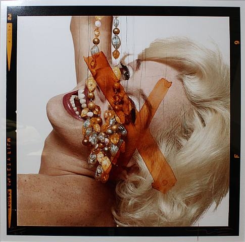 wildlife photography courses Kenya Tanzania south Africa Botswana bert stern