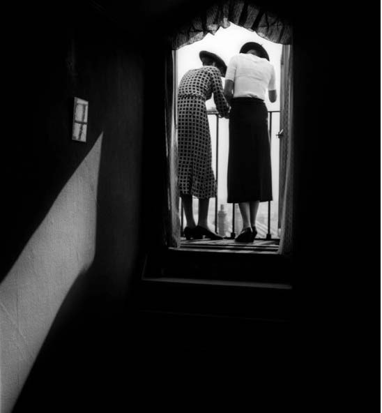 wildlife photography courses Kenya Tanzania south Africa Botswana brandt