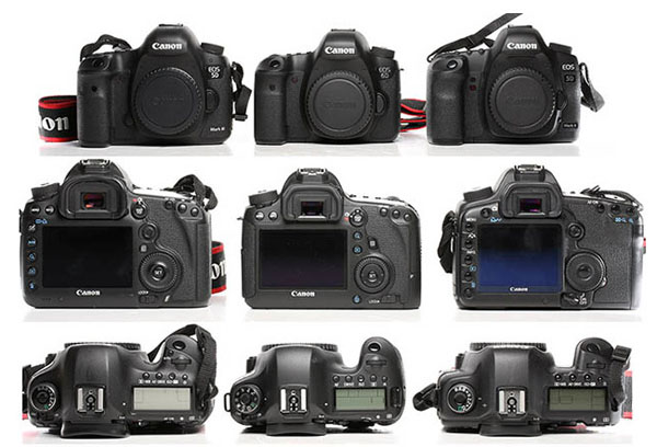 wildlife photography courses Kenya Tanzania south Africa Botswana canon6d