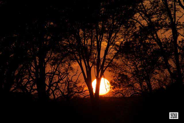 wildlife photography courses Kenya Tanzania south Africa Botswana carl zeiss