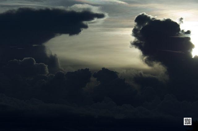 wildlife photography courses Kenya Tanzania south Africa Botswana don