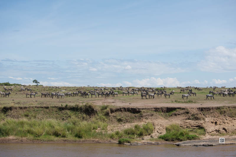 wildlife photography courses Kenya Tanzania south Africa Botswana edge light ebook