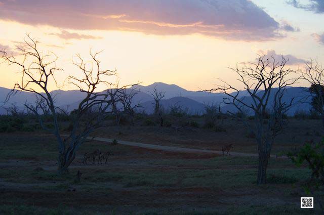 wildlife photography courses Kenya Tanzania south Africa Botswana expectations