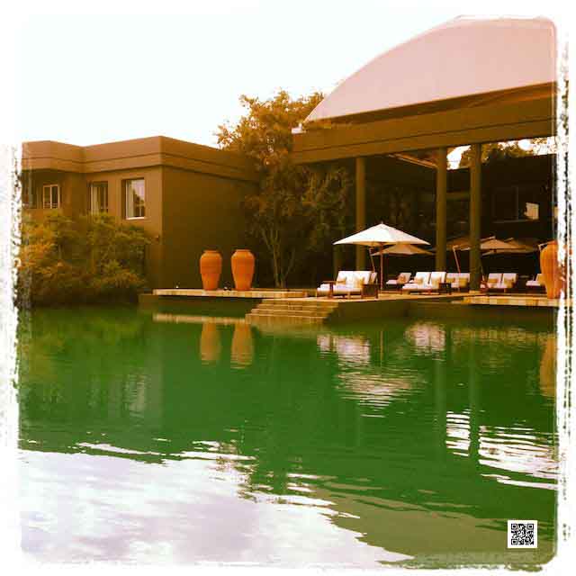 wildlife photography courses Kenya Tanzania south Africa Botswana gut feeling