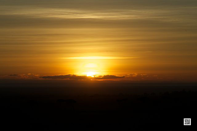 wildlife photography courses Kenya Tanzania south Africa Botswana invinity music