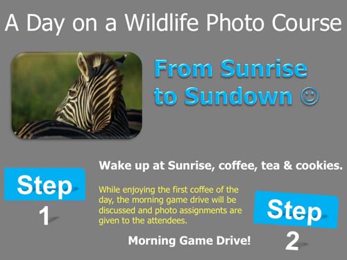 wildlife photography courses Kenya Tanzania south Africa Botswana infographic