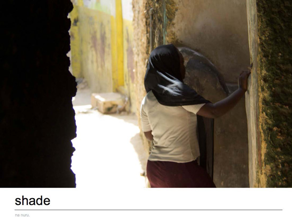 wildlife photography courses Kenya Tanzania south Africa Botswana lamu ebook