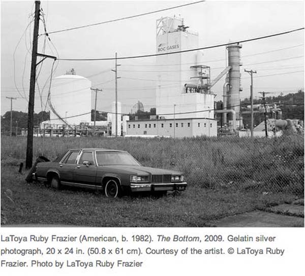 wildlife photography courses Kenya Tanzania south Africa Botswana latoya