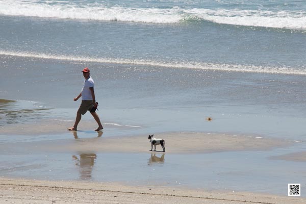 wildlife photography courses Kenya Tanzania south Africa Botswana nikon awe