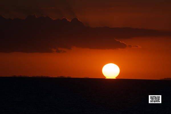 wildlife photography courses Kenya Tanzania south Africa Botswana out of africa ebook