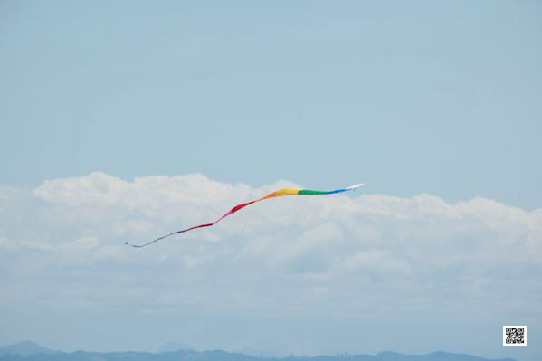 wildlife photography courses Kenya Tanzania south Africa Botswana petit art