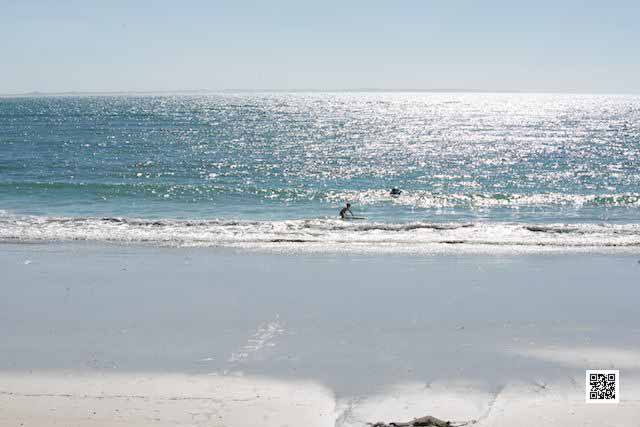 wildlife photography courses Kenya Tanzania south Africa Botswana real photos