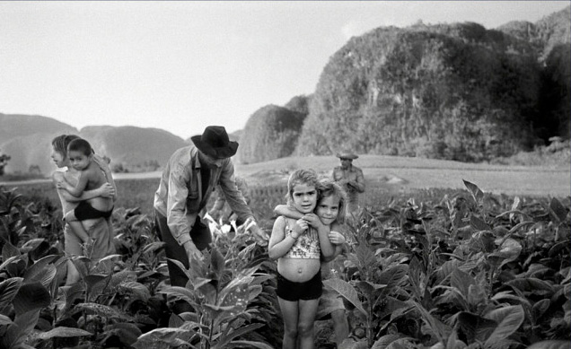 wildlife photography courses Kenya Tanzania south Africa Botswana rivera ortiz