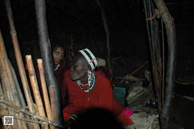 wildlife photography courses Kenya Tanzania south Africa Botswana sontag