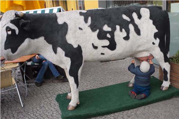 wildlife photography courses Kenya Tanzania south Africa Botswana street photo hype