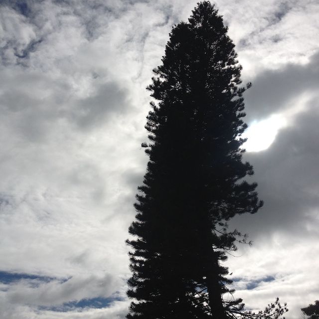 wildlife photography courses Kenya Tanzania south Africa Botswana ups downs