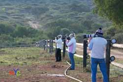 wildlife photography courses south africa short term