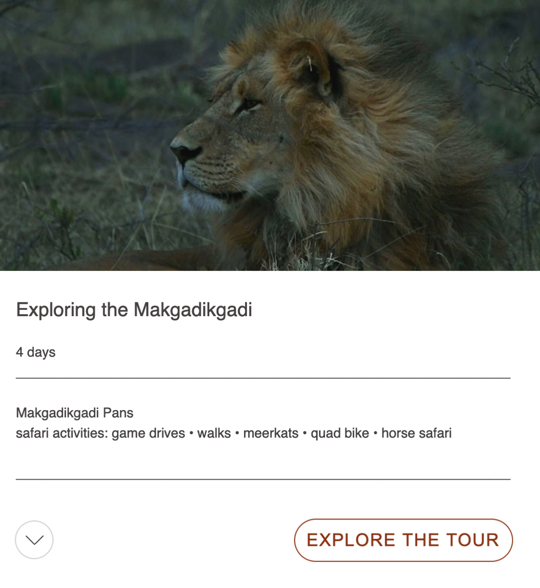 exploring makgadikgadi tour