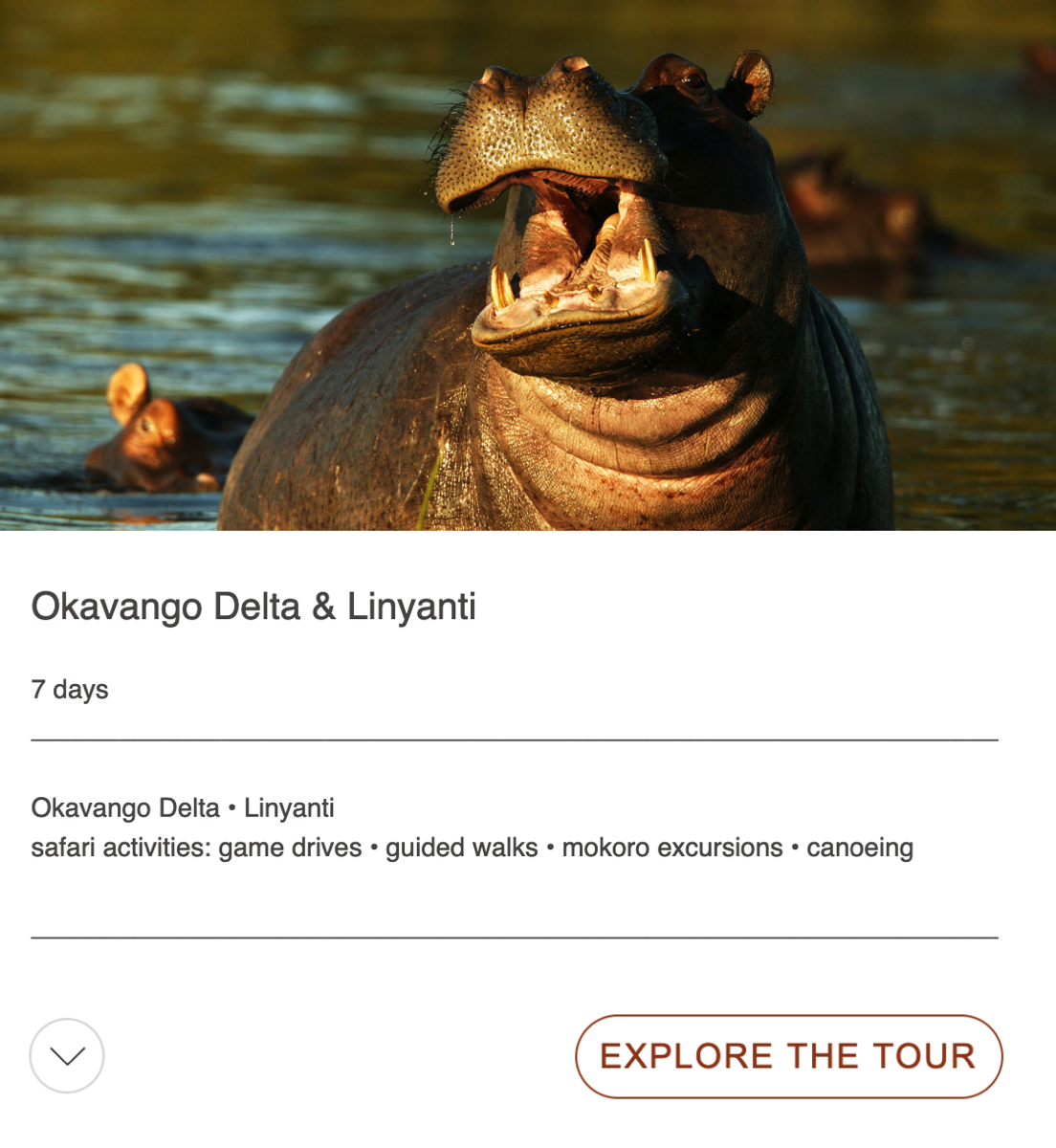 okavango delta and linyanti tour