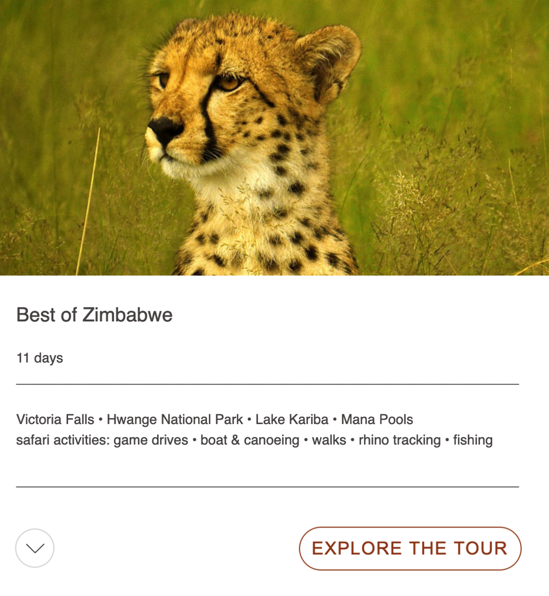 best of zimbabawe tour