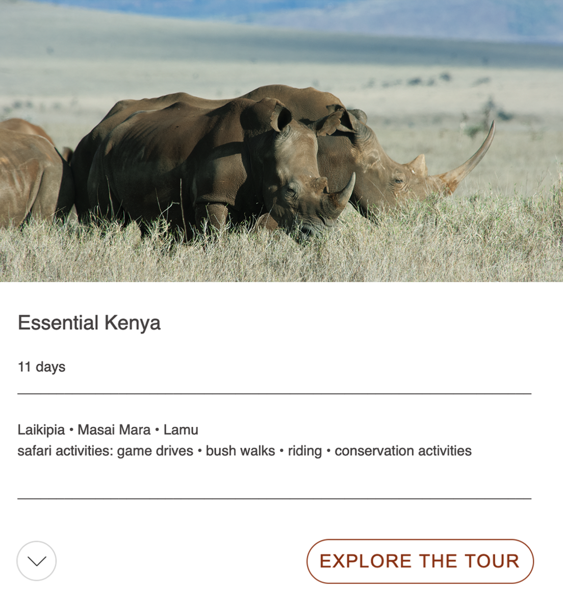 essential kenya tour