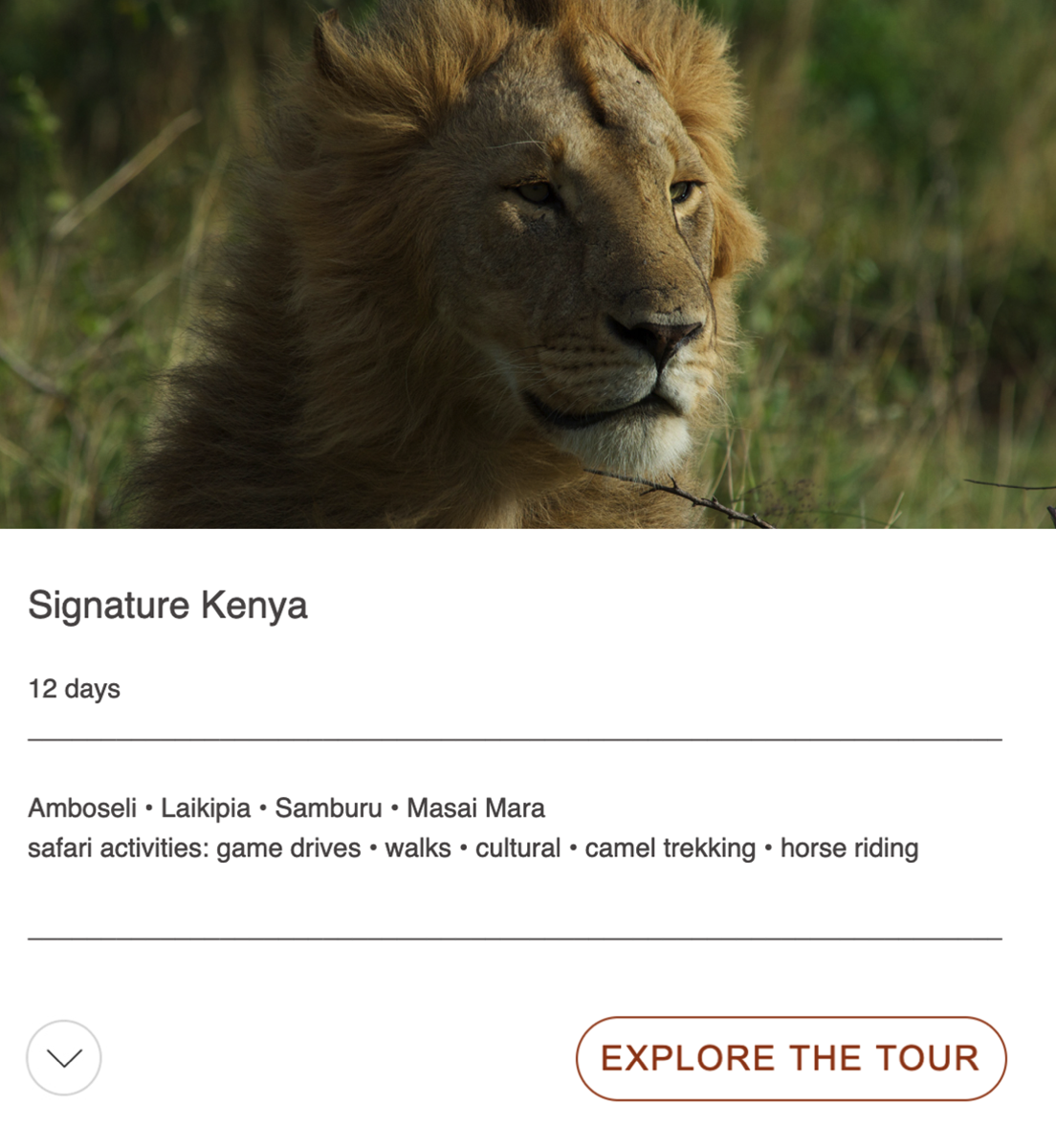 signature kenya tour