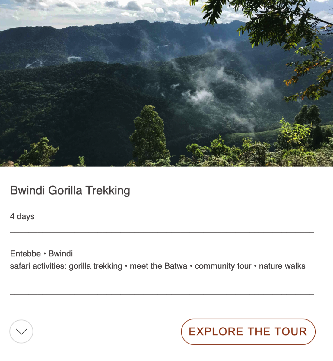bwindi gorilla trekking tour