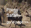 photographic safaris