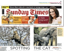 leopard wildlife photography course kruger park