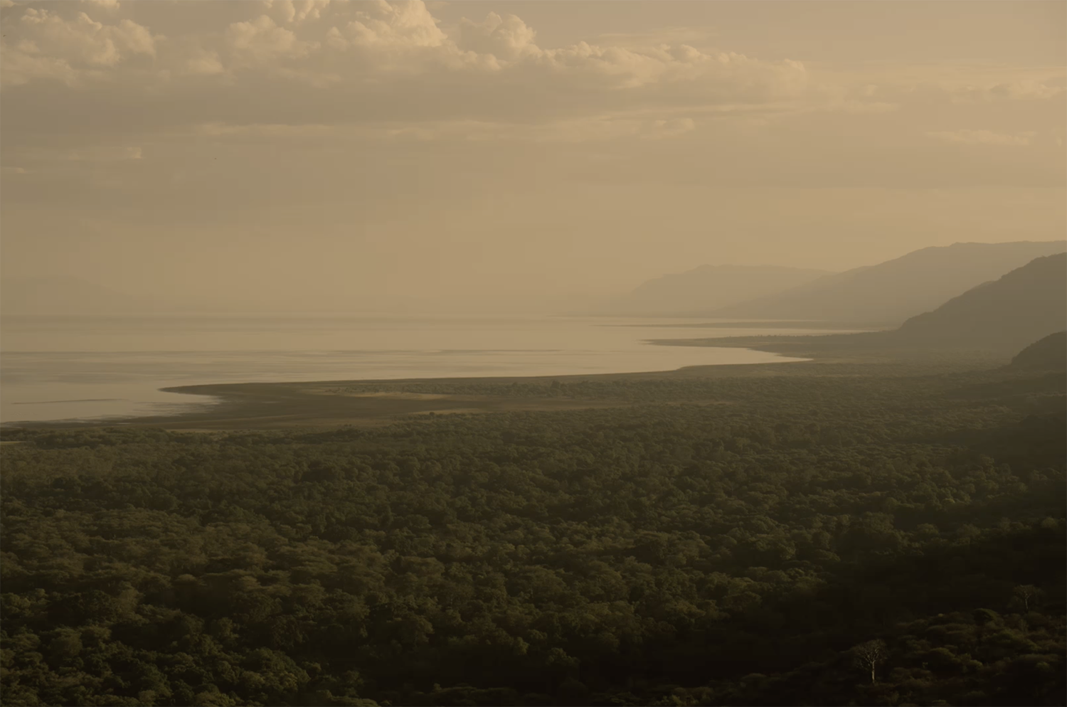 roho-ya-chui-destination-tanzania