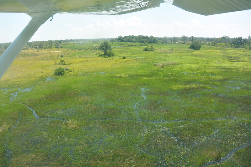 botswana-safari-in-green-season