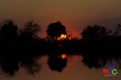 5 good reasons to love photography 