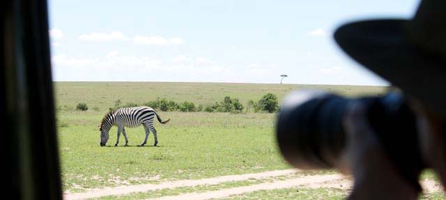 photographic-safaris-south-africa-kenya-botswana-tanzania-wildlife-photography-courses-roho-ya-chui