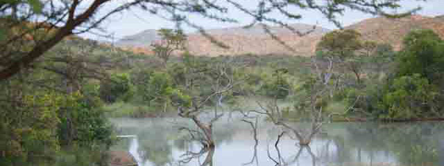 pilansberg national park south africa