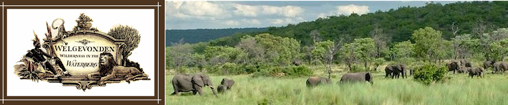 welgevonden big 5 game reserve